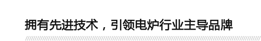 擁有先進(jìn)技術(shù)，引領(lǐng)電爐行業(yè)主導(dǎo)品牌